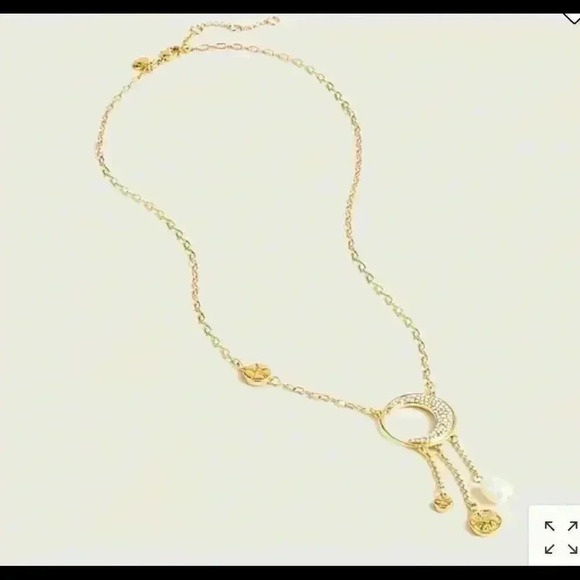 J. Crew Jewelry - J Crew long charm necklace Crystal